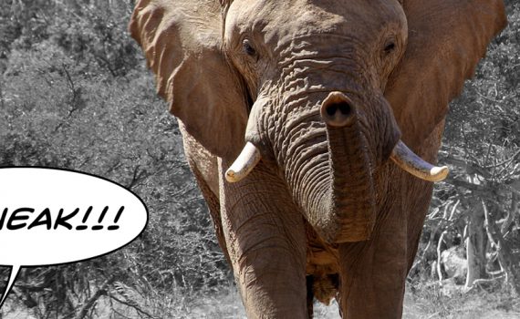 Elephant and Mouse - The Out Of My Mind Blog