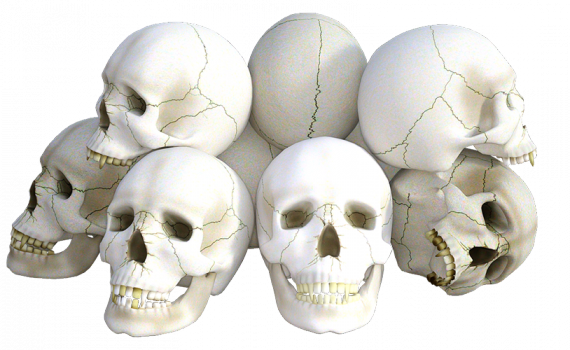 Skulls - The Out Of My Mind Blog