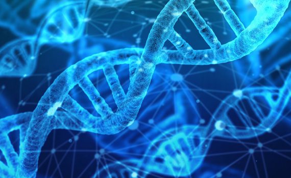 Strands of DNA - The Out Of My Mind Blog